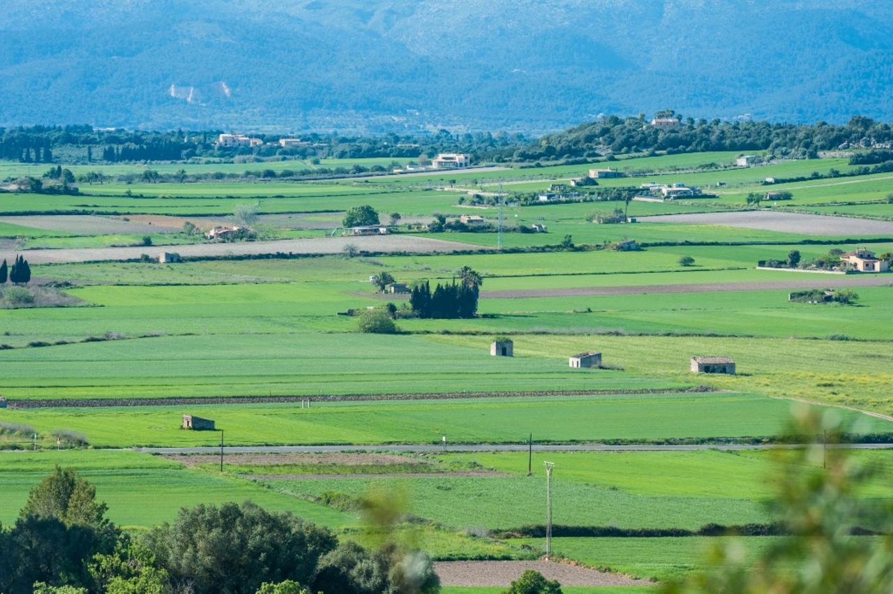 Villa Santa Margalida Εξωτερικό φωτογραφία