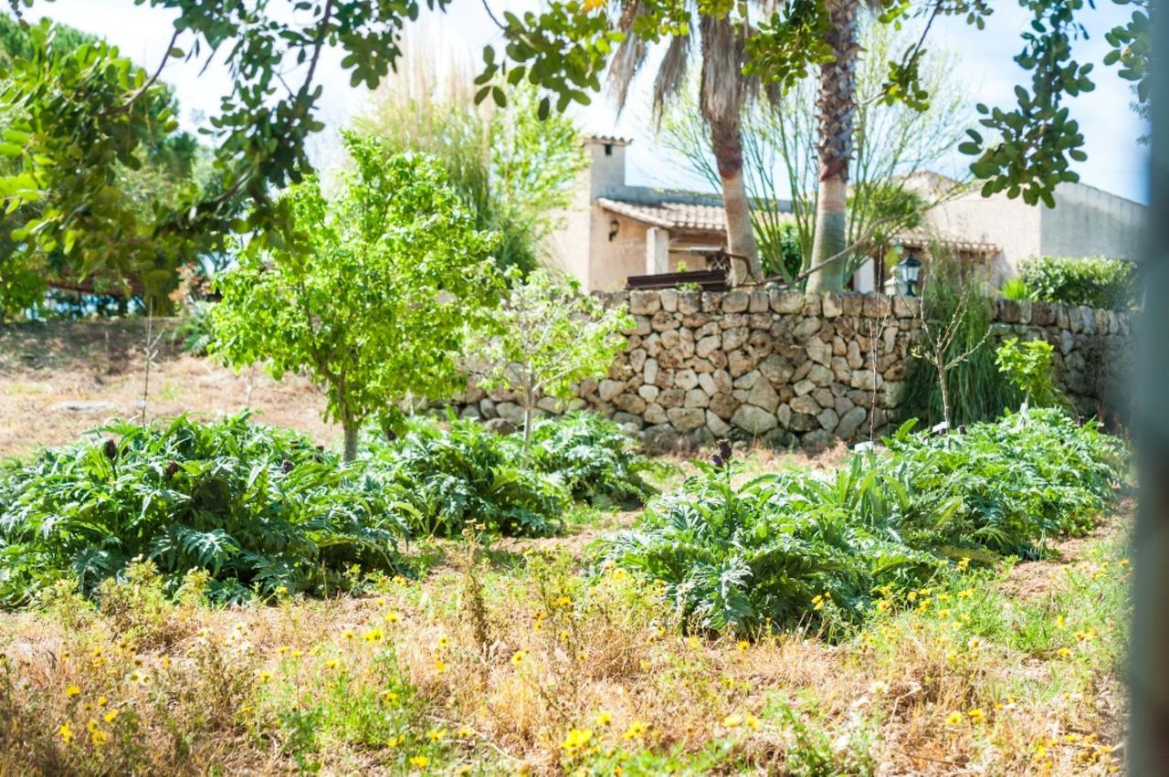 Villa Santa Margalida Εξωτερικό φωτογραφία
