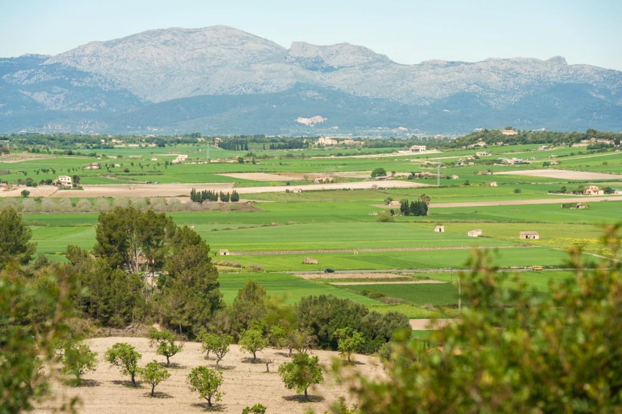Villa Santa Margalida Εξωτερικό φωτογραφία
